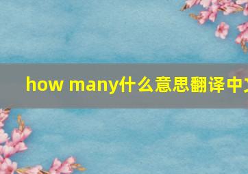 how many什么意思翻译中文